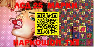 стафф Краснознаменск