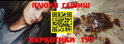 сатива Краснодар