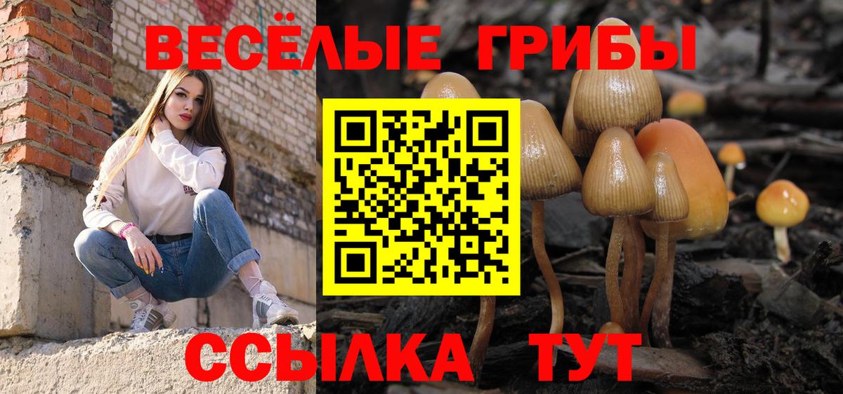 Галлюциногенные грибы мицелий Шелехов