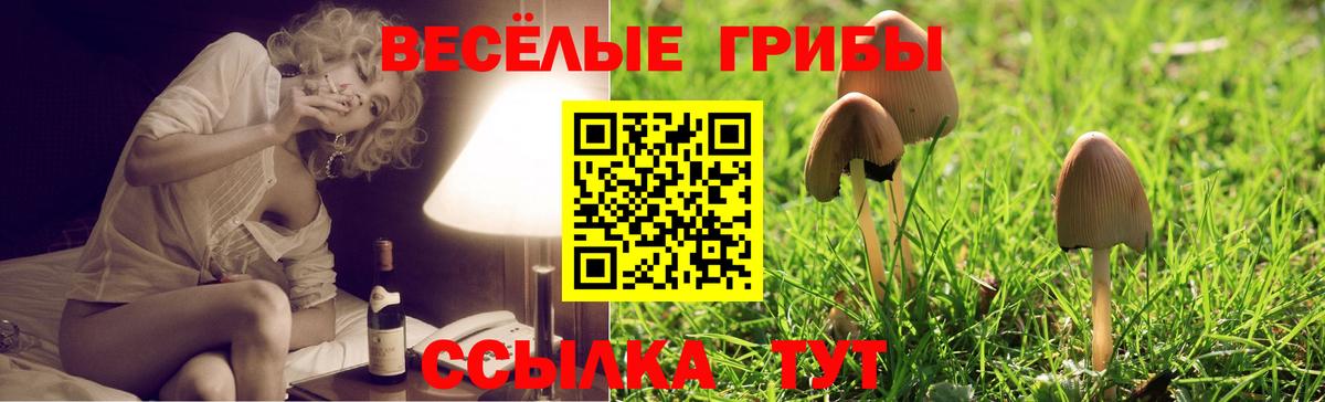 Шелехов  Галлюциногенные грибы прущие грибы  Вход с VPN 